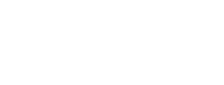 Logo Virgil